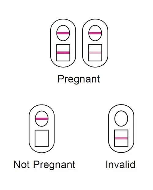 Versea EasyLab Pregnancy Test Doc Johnson Vibrators